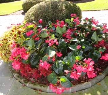 thumb_DSC00650_1024