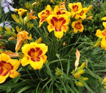 thumb_DSC00790_1024