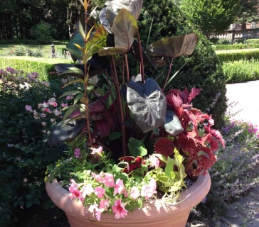 thumb_IMG_1094_1024